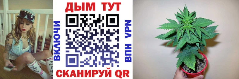 Купить закладки  Вуктыл  Бошки марихуана ГИДРОПОН 